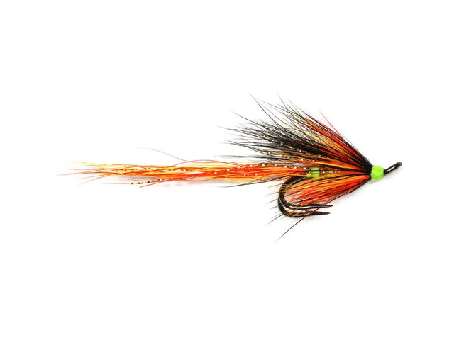 Cascade Olive Willie Gunn