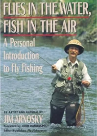 Flies in the Water, Flies in the Air: A Personal Introduction to Fly Fishing