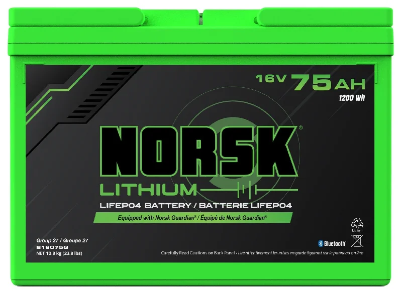 Norsk Lithium 16V MAX RT Batteries