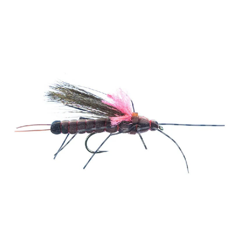 Salmonfly