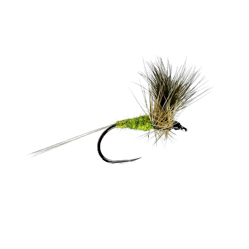 BWO CDC W/DRY B/L