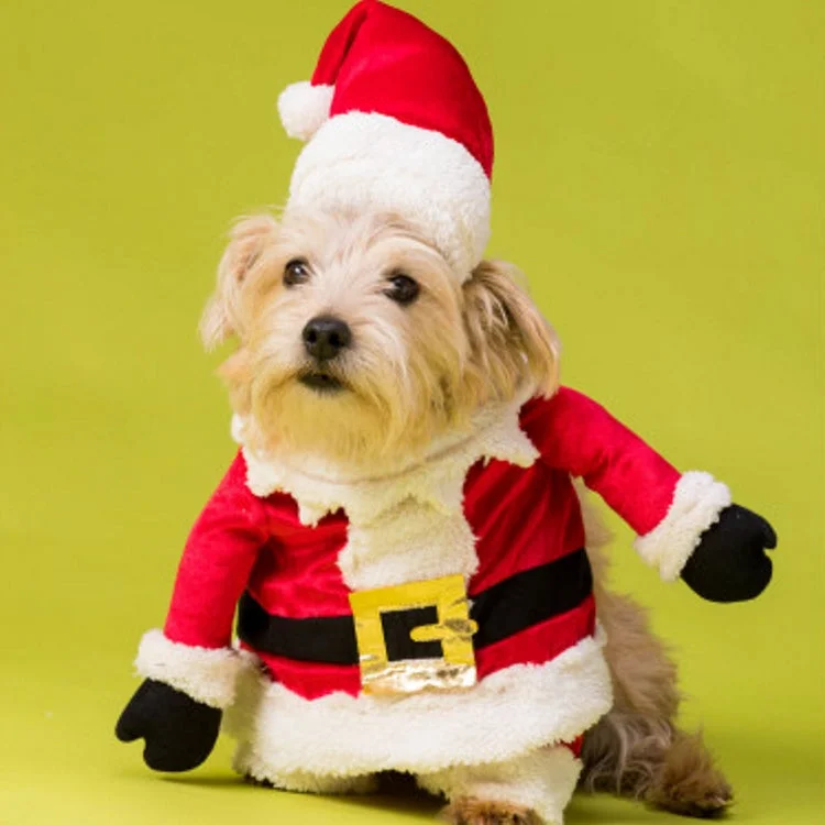 House of Paws Santa Front and Hat Set Dog Fancy Dress