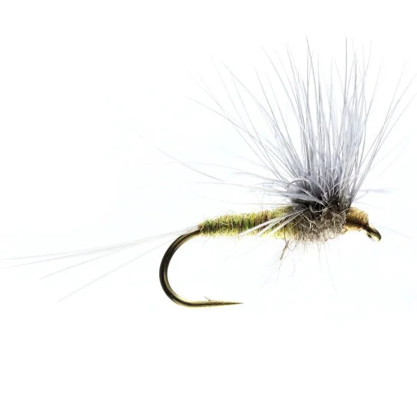 BWO Stacked Hackle